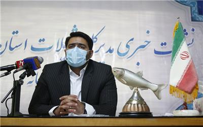 مدیرکل شیلات مازندران: مازندران رتبه نخست تولید گوشت ماهیان خاویاری در کشور را دارد