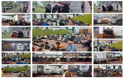 دل‌ها در فراق روح خدا سوخت؛ خادمیاران رضوی سیمرغ