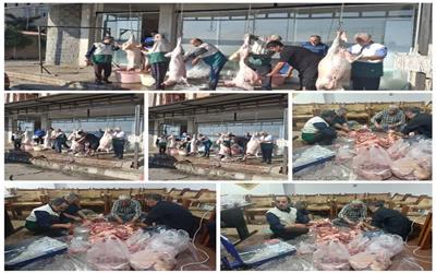 خادمیاران و یاوران رضوی شهرستان سیمرغ با ذبح چهار رأس گوسفند،جلوه‌ای از همدلی و خدمت مؤمنانه را به نمایش گذاشتند