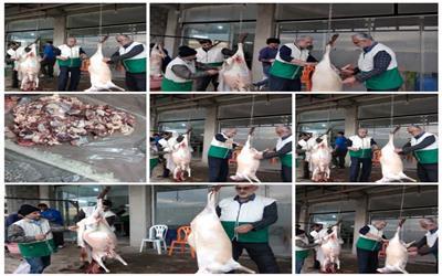 در آستانه میلاد باسعادت امام محمد باقر علیه‌السلام، خادمیاران و یاوران رضوی شهرستان سیمرغ با اقدامی خداپسندانه،نذر خدمت را به ساحت اهل‌بیت(ع) تقدیم کردند