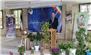 مدیرکل آموزش و پرورش مازندران از آمادگی 1523 کلاس درس و 18 مرکز رفاهی برای اسکان فرهنگیان نوروزی خبر داد.