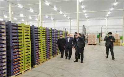 افتتاح بزرگ‌ترین پایانه محصولات کشاورزی مازندران با دستور رییس جمهوری