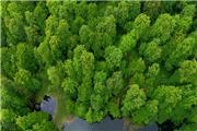 مدیرکل میراث‌فرهنگی، گردشگری و صنایع‌دستی مازندران گفت: ایجاد پایگاه میراث طبیعی جنگل‌های هیرکانی ضروری است.