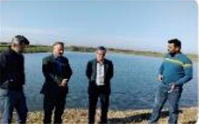 مدیر کل شیلات مازندران: 12 درصد آبزیان پرورشی مازندران در بخش آببندان‌ها تولید می‌شود.