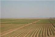به مناسبت هفته جهاد کشاورزی؛  طرح یکپارچه سازی اراضی در روستای اخته چی سیمرغ افتتاح می شود